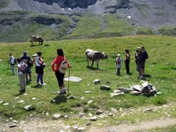 "Grande Guerra" (Great War) Trail n. 209/45